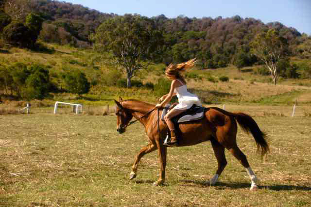 Rainbow Beach Country Horse Rides | travel agency | 84 Henry Rd, Goomboorian QLD 4570, Australia | 0412174337 OR +61 412 174 337