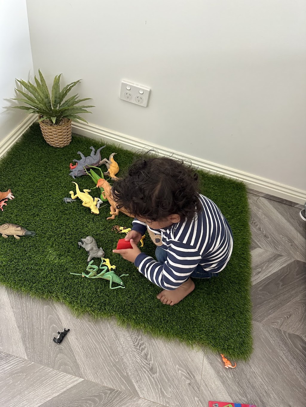 Smart Starz Family Day Care | Stonefly Cct, Weir Views VIC 3338, Australia | Phone: 0413 801 608