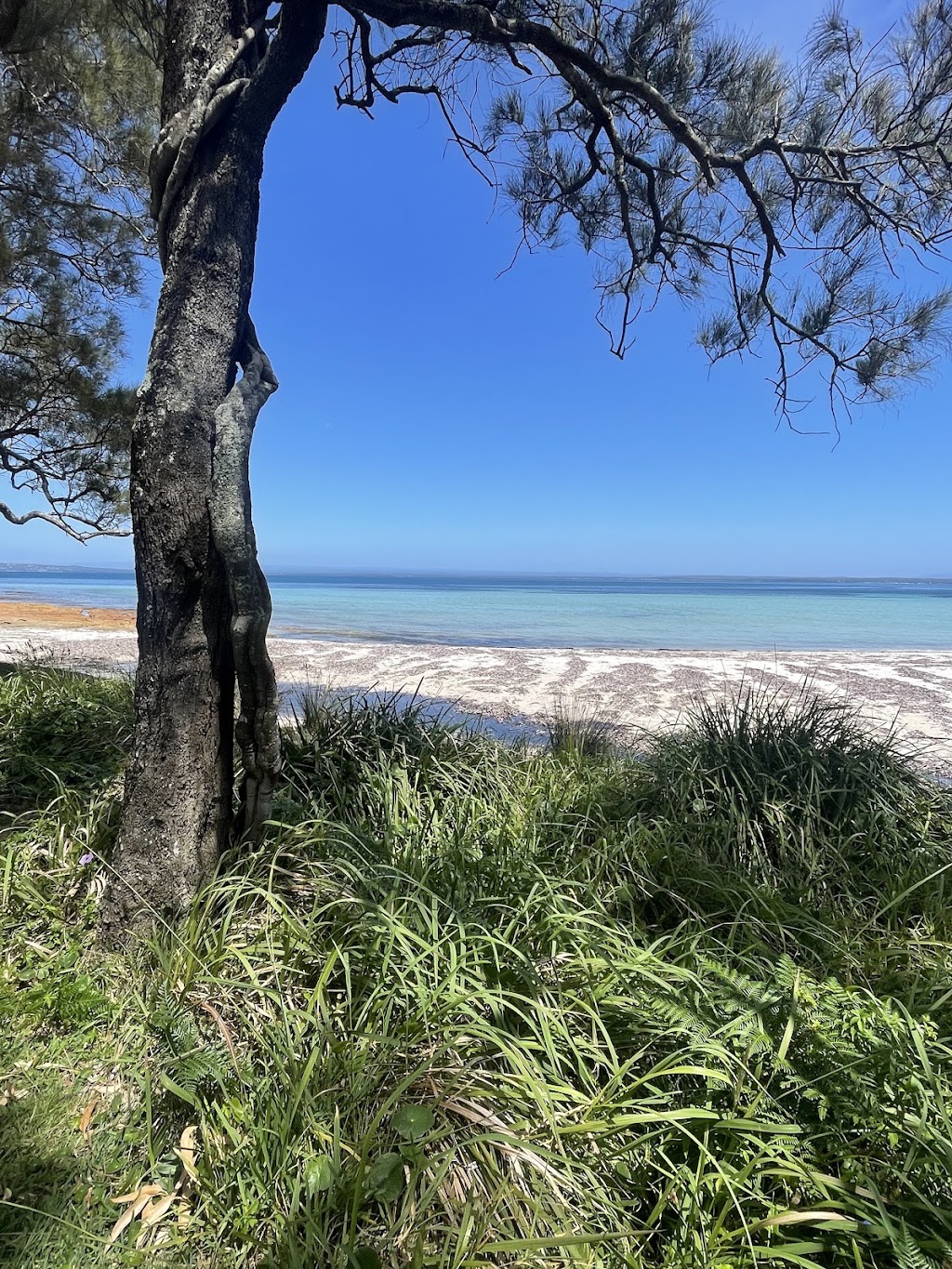 Long Beach South - Beecroft Weapons Range | Long Beach S Rd, Beecroft Peninsula NSW 2540, Australia | Phone: (02) 4448 3411