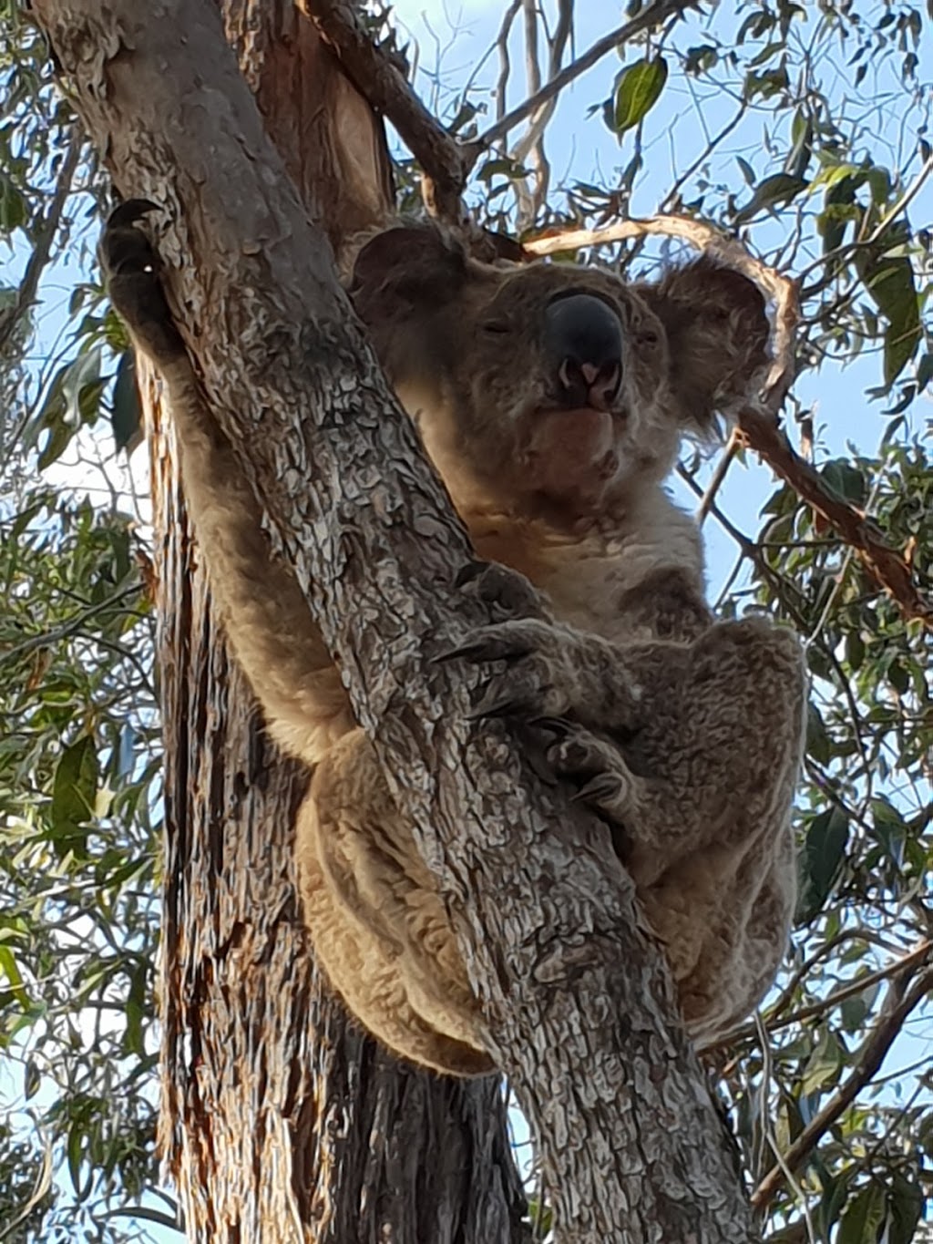 Haven Park | park | Bahrs Scrub QLD 4207, Australia