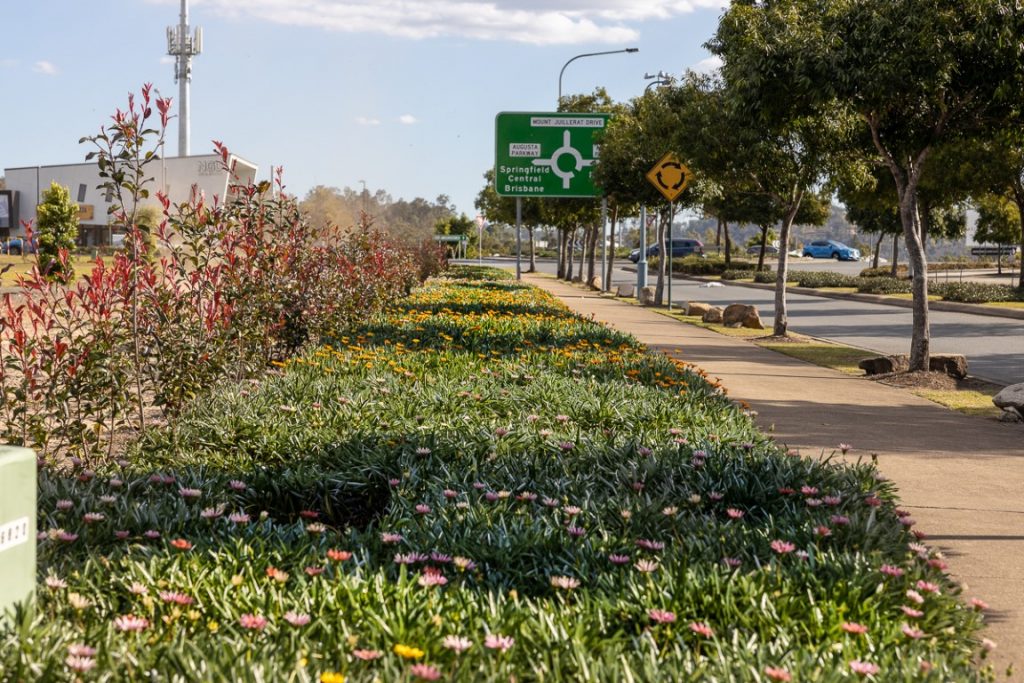 TW Horticultural Services | 400 Postmans Track, Minden QLD 4311, Australia | Phone: 0450 314 436