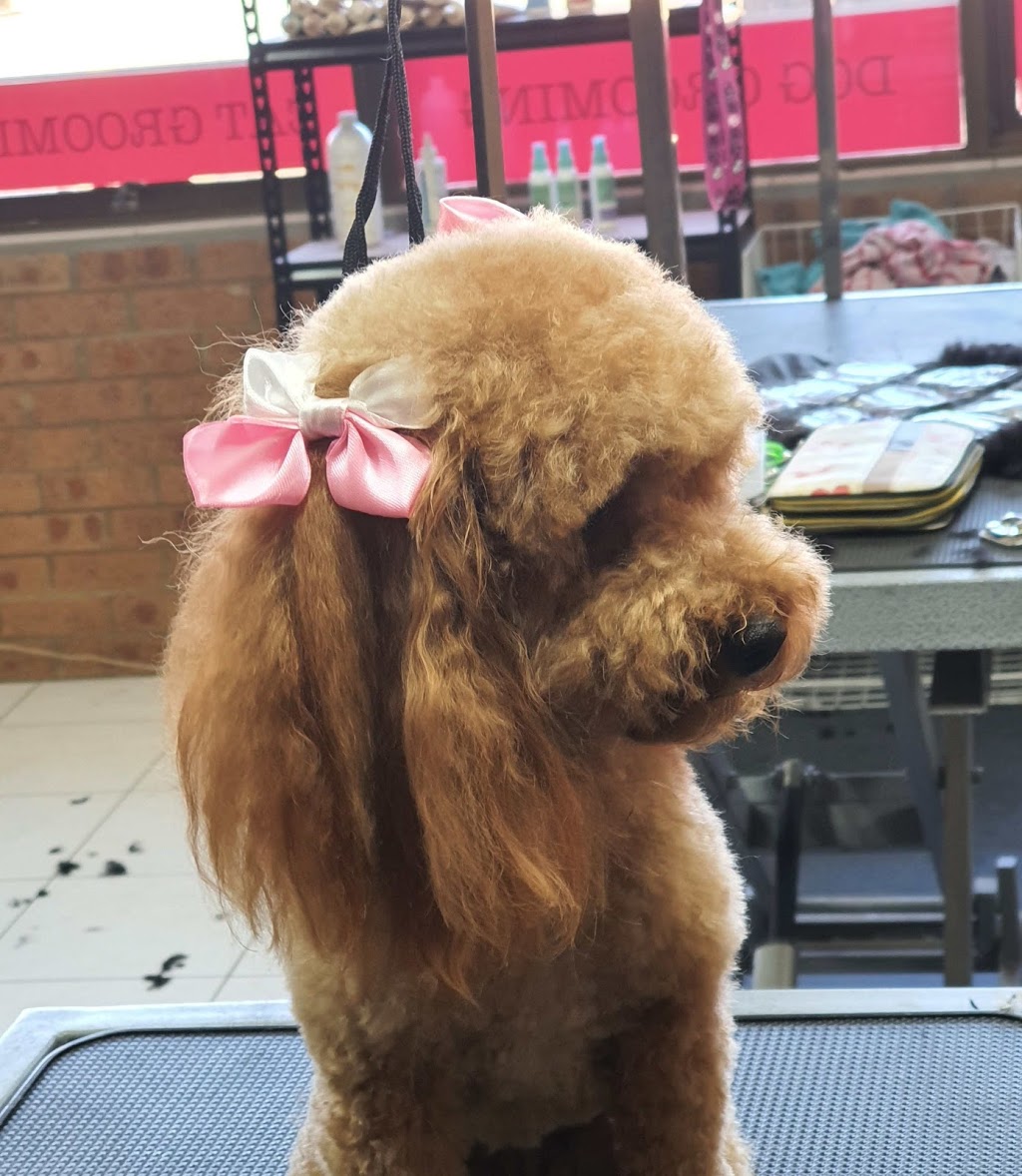 The fur salon mobile dog &cat grooming | 22 Kelly St, Austral NSW 2179, Australia | Phone: 0435 204 824