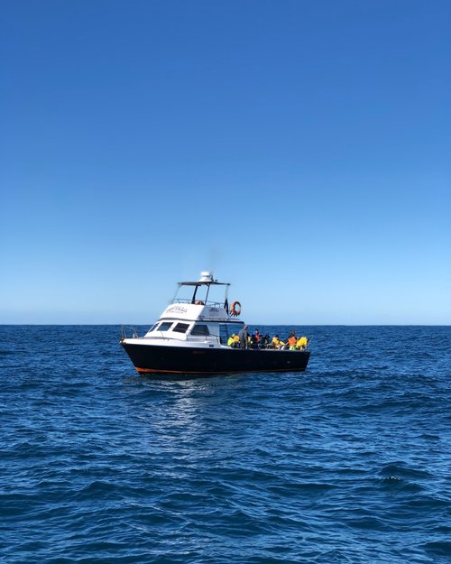 Aquilla Fishing Charters | Endeavour Dr, Wollongong NSW 2500, Australia | Phone: 0414 615 146