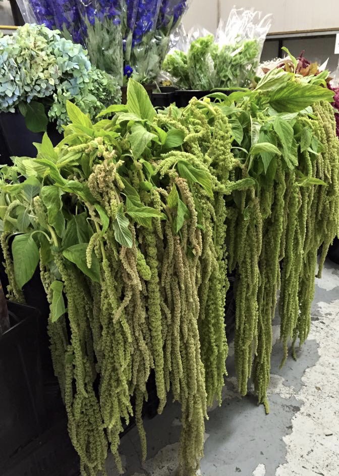 Just Flowers | 1/54 Browns Rd, Kingston TAS 7050, Australia | Phone: (03) 6227 2404