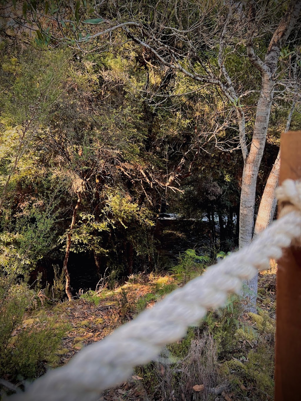 Riversong Glamping | 2900 Gordon River Rd, Tyenna TAS 7140, Australia | Phone: 0459 053 171