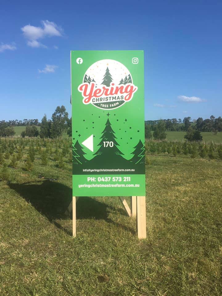 Yering Christmas Tree Farm | 170 Victoria Rd, Yering VIC 3770, Australia | Phone: 0437 573 211