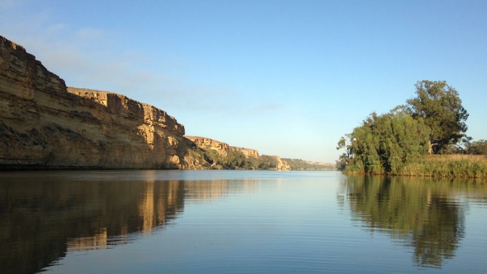 Riverland Boat Hire |  | 145 Murray Ave, Renmark SA 5341, Australia | 0400760386 OR +61 400 760 386