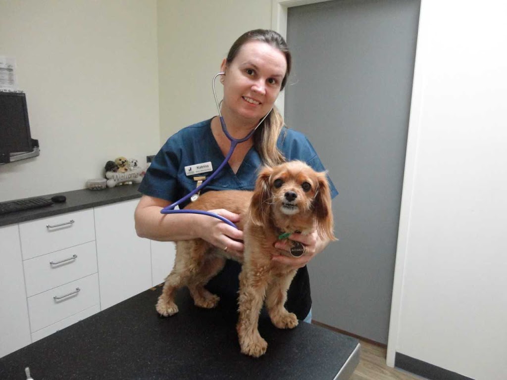 Wellington Point Vets By the Bay | veterinary care | Shop/5 Waterloo St, Wellington Point QLD 4160, Australia | 0738222333 OR +61 7 3822 2333