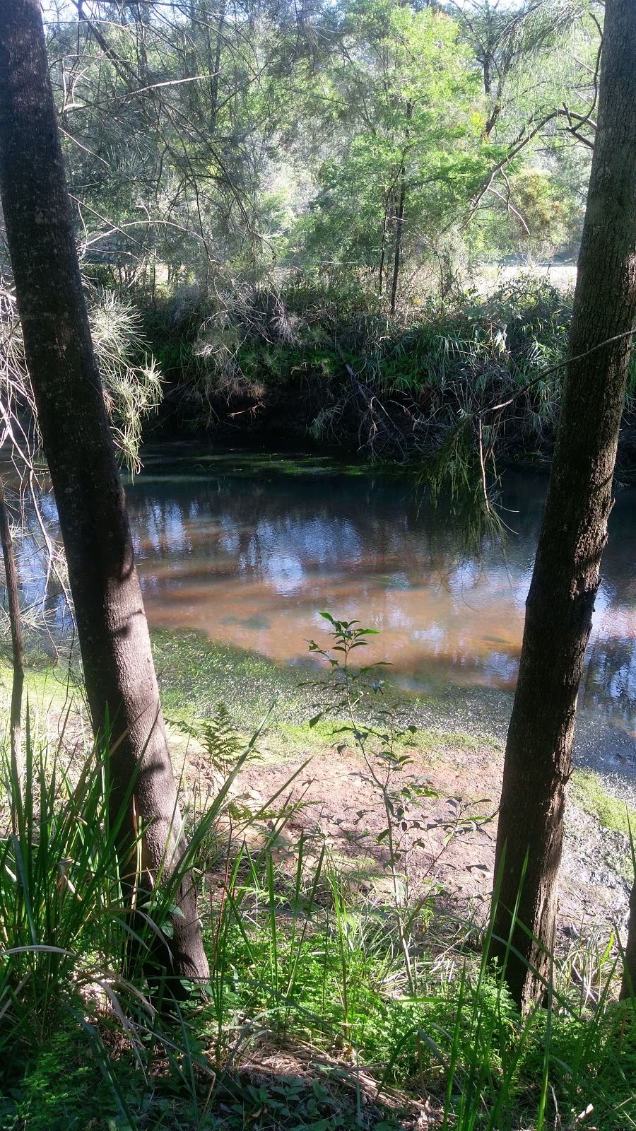 Grove Gatherings | 718 Webbs Creek Rd, Wisemans Ferry NSW 2775, Australia | Phone: (02) 4566 4614