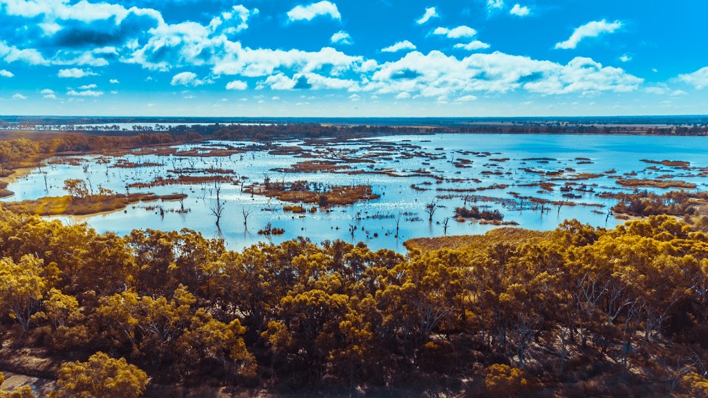 Ibis Rookery, Middle Reedy Lake | park | 132 Pratt Rd, Reedy Lake VIC 3579, Australia