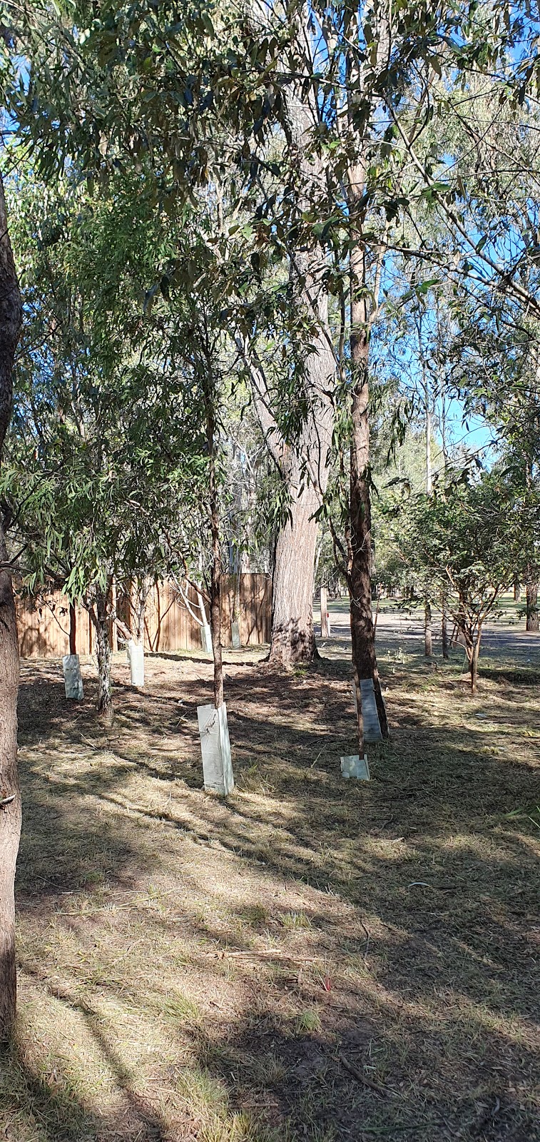 Big Rigs Yard Maintenance | 1 Mallee Ct, Plainland QLD 4341, Australia | Phone: 0439 787 473