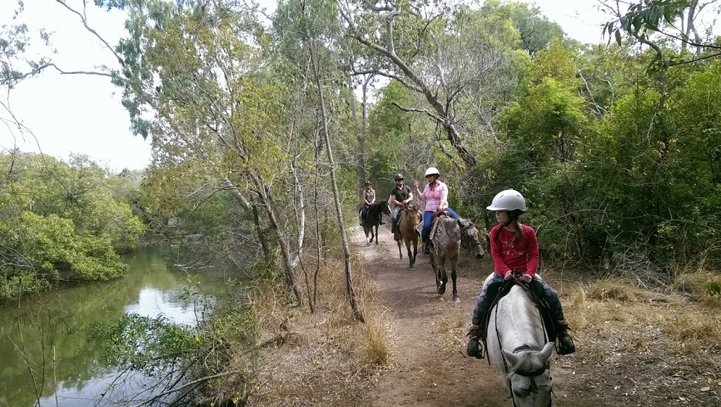 Saddle Me Up | 32 Heron Cl, Moore Park Beach QLD 4670, Australia | Phone: (07) 4159 8782