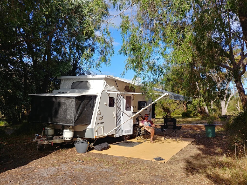 Valley of the Giants Ecopark | 6400 South Coast Hwy, Nornalup WA 6333, Australia | Phone: (08) 9840 1313