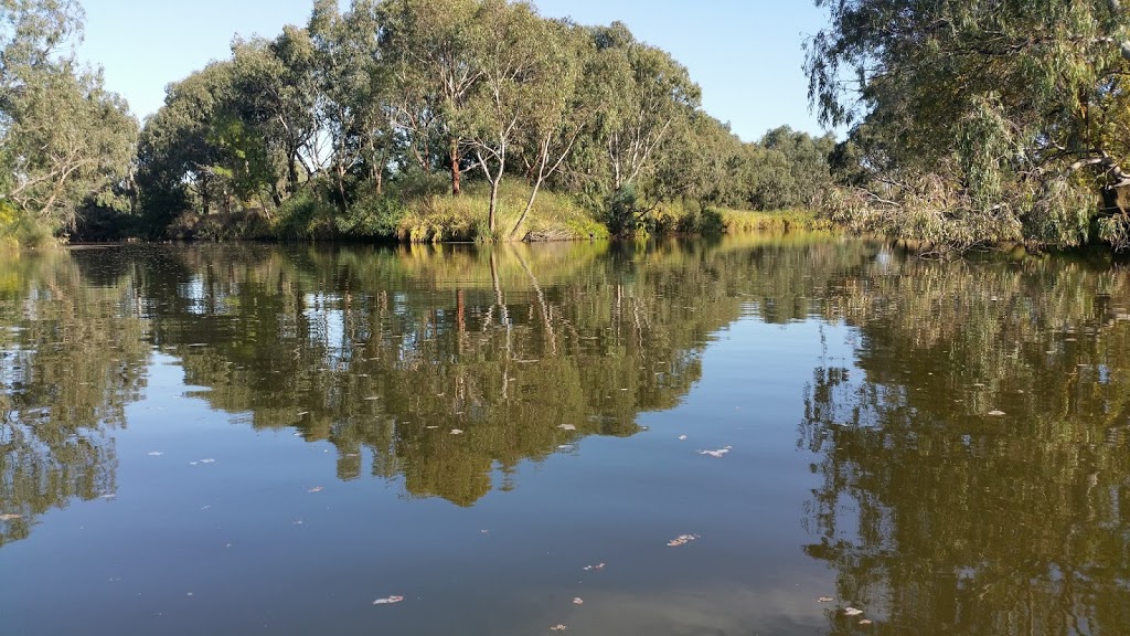 Mooralbool and Barwon Rivers junction | park | Barwon Aqueduct River Trail, Highton VIC 3216, Australia