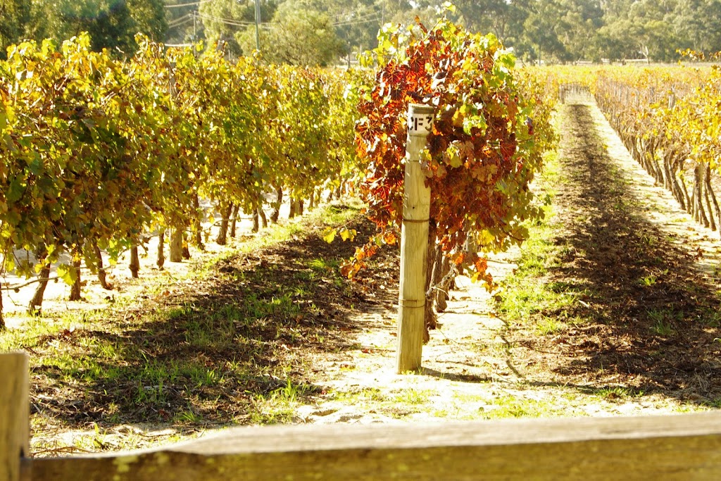 Peel Estate Wines | 290 Fletcher Rd, Karnup WA 6176, Australia | Phone: (08) 9524 1221