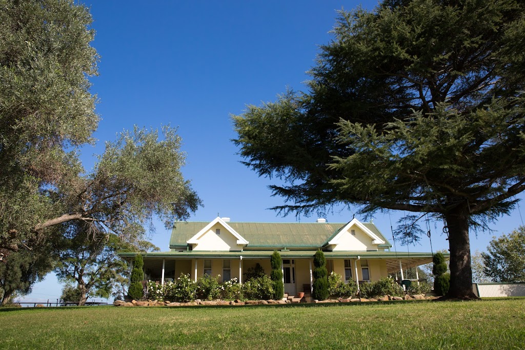 Green Hill Hens | 1618 Denman Rd, Denman NSW 2333, Australia | Phone: 0408 677 741