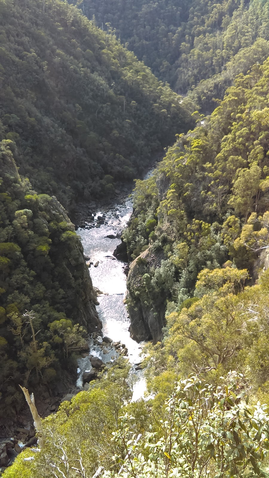 Leven Canyon Regional Reserve | park | Tasmania 7315, Australia