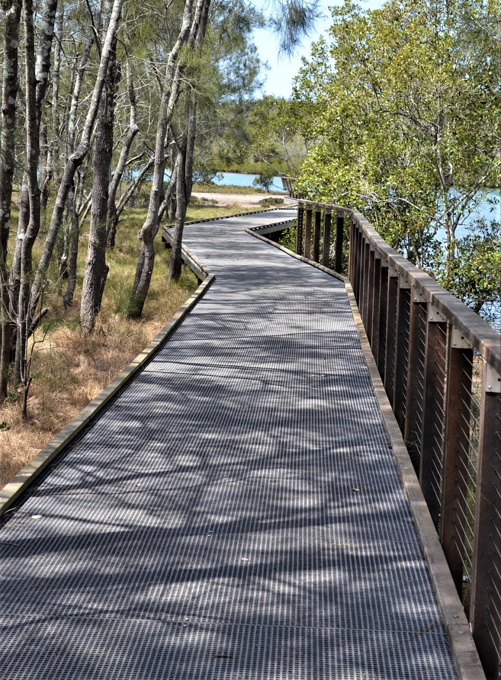 Tchoobey reserve | park | David Fleay Wildlife Park, Loman Ln, Burleigh Heads QLD 4220, Australia