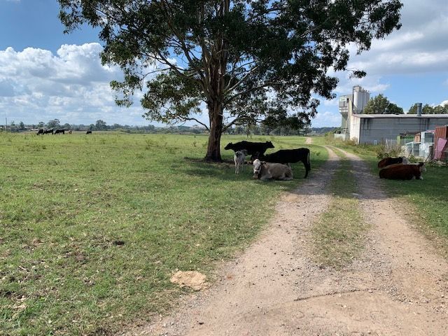 Paul Pace Country (NSW) | Shop 1/2329 Great Western Hwy, Little Hartley NSW 2790, Australia | Phone: 1300 924 860