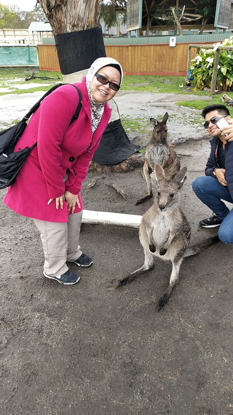 Phillip Island Nature Park | Newhaven VIC 3925, Australia