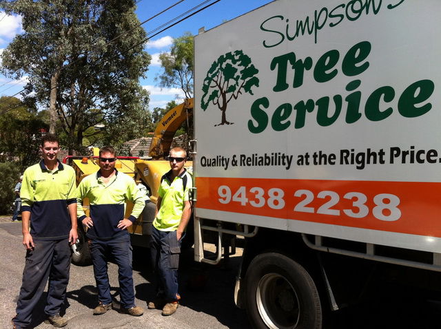 Simpsons Tree Service | 46 Gorst Rd, Wattle Glen VIC 3096, Australia | Phone: (03) 9438 2238