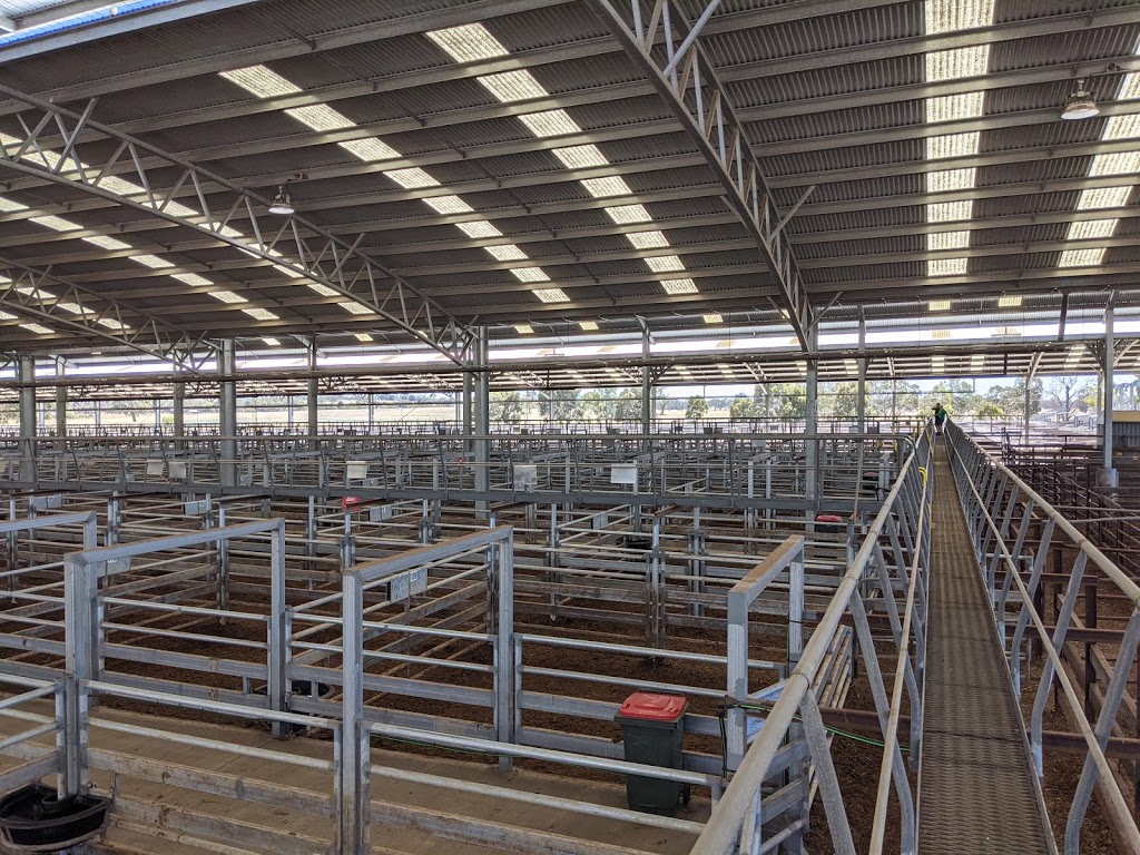 Naracoorte Regional Livestock Exchange |  | 400 Carters Rd, Naracoorte SA 5271, Australia | 0417842214 OR +61 417 842 214