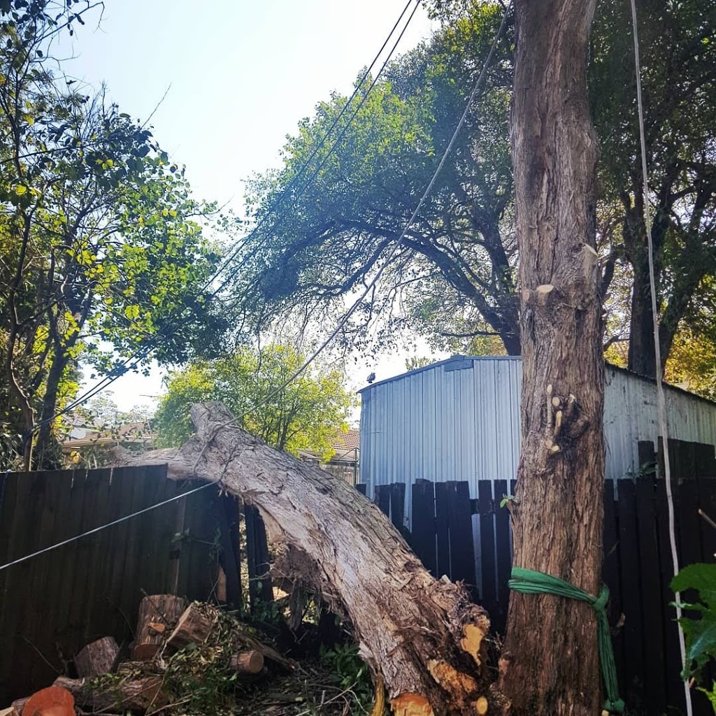 Redlands Tree Lopping, Capalaba Tree Pruning, Tree Removal, Stum | park | 23 Wentworth Dr, Capalaba QLD 4157, Australia | 0411956800 OR +61 411 956 800