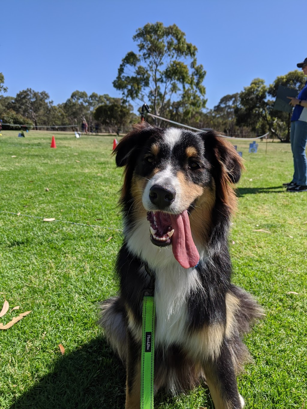 Southern Districts Kennel and Obedience Dog Club Inc |  | cnr States Road and, Wheatsheaf Rd, Morphett Vale SA 5162, Australia | 0883861933 OR +61 8 8386 1933