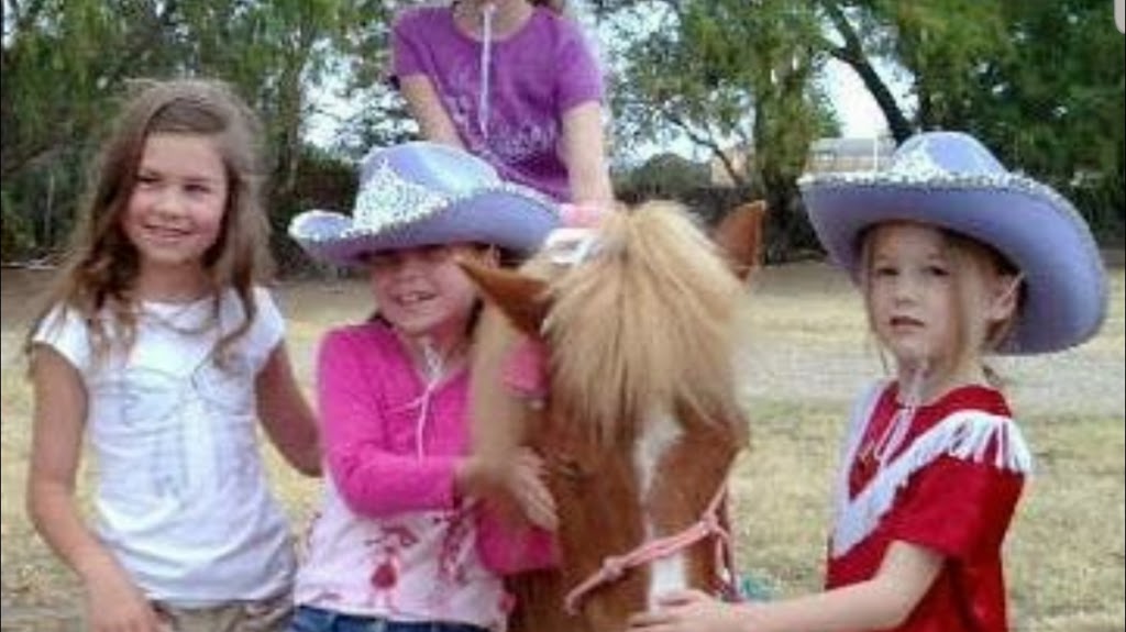 Amberainbow Pony Rides (pony parties in Adelaide SA) | travel agency | Mobile Business, Shop 2, Lot/1 Old Port Wakefield Rd, Virginia SA 5120, Australia | 0415678077 OR +61 415 678 077