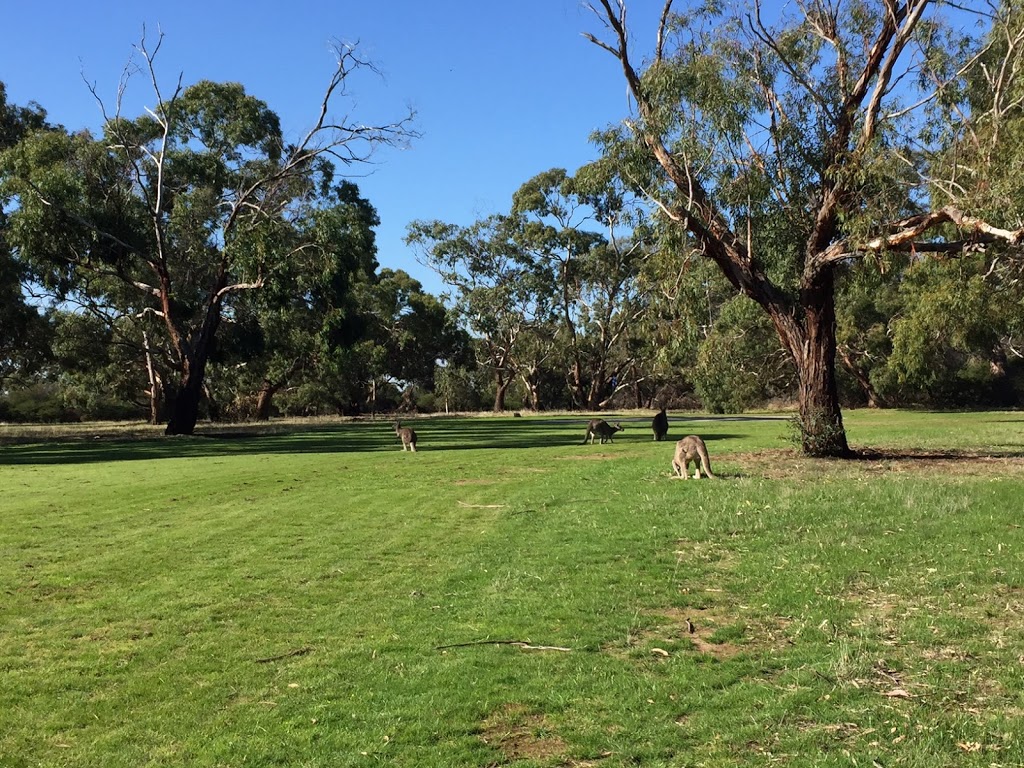 Inverleigh Golf Club | 244 Common Rd, Inverleigh VIC 3321, Australia | Phone: 0409 106 559