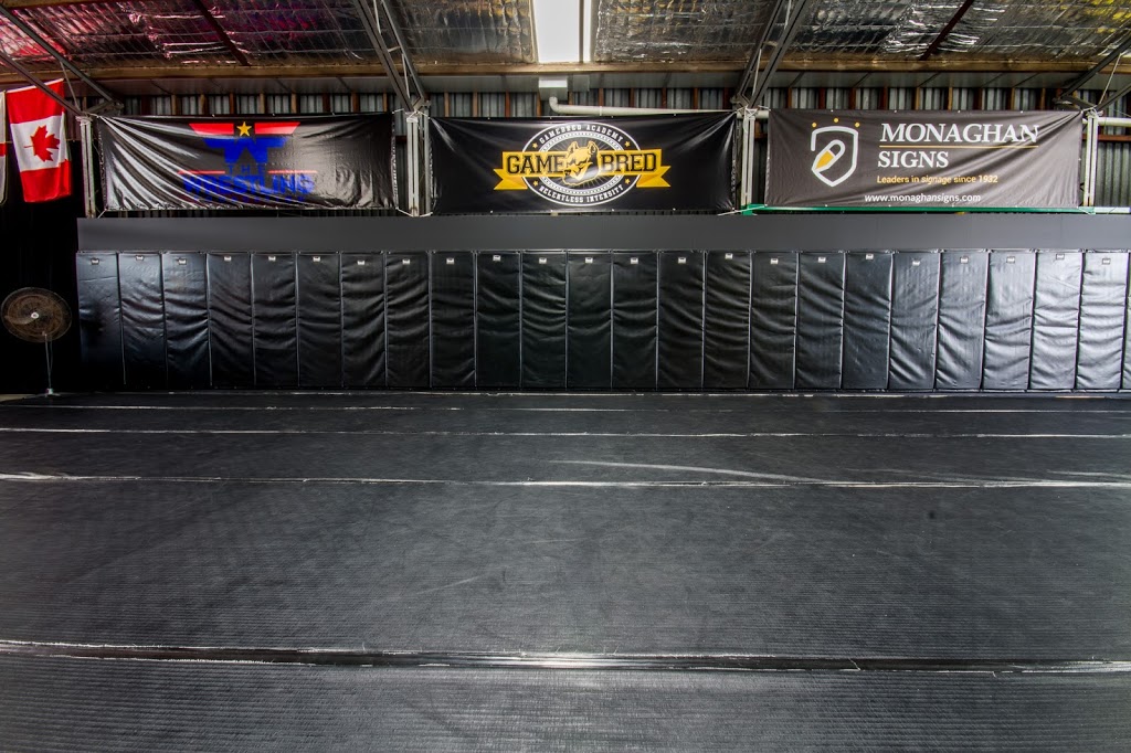 Gamebred Academy - Self Defence Classes & MMA Gym | 24 Violet St, Eagle Farm QLD 4009, Australia | Phone: 0421 977 507