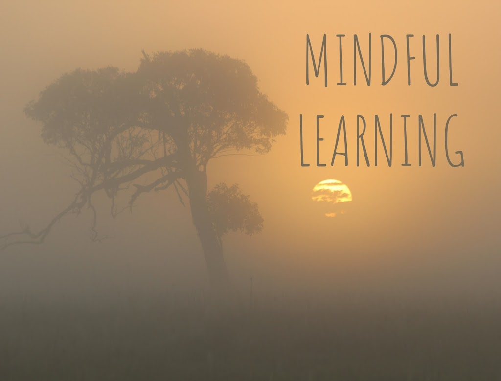 Docs Mindful Learning | 50 Station Ln, Lochinvar NSW 2321, Australia | Phone: 0421 288 393