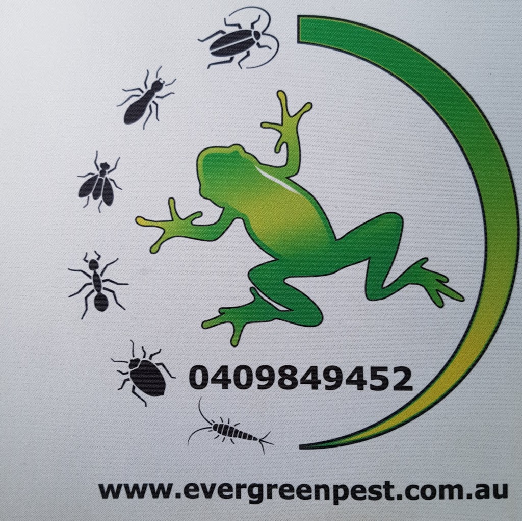 Evergreen Pest Management | home goods store | 17 Oleander Ave, Cabarita Beach NSW 2488, Australia | 0409849452 OR +61 409 849 452