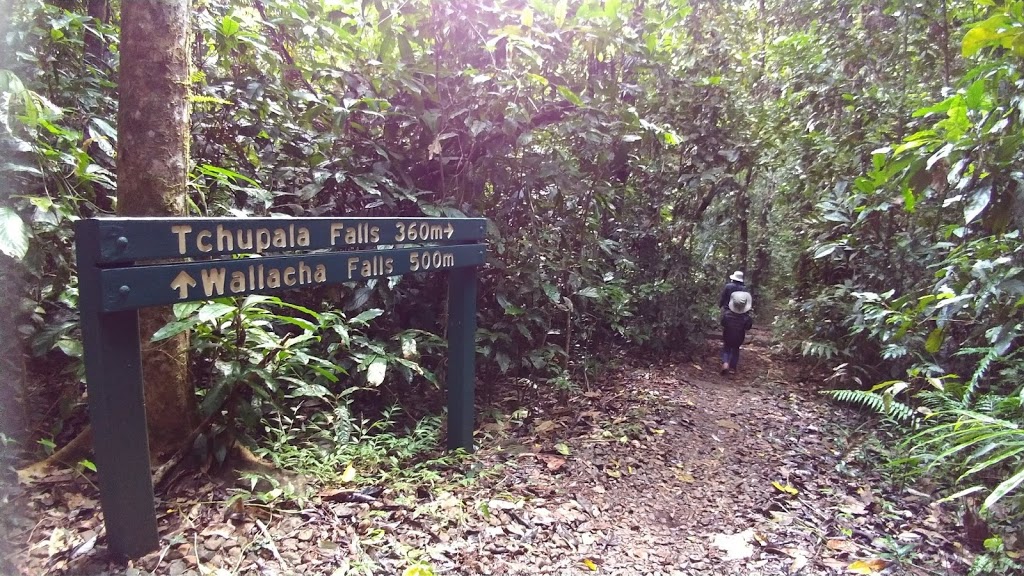 Wallicher Falls | tourist attraction | Palmerston Hwy, Wooroonooran QLD 4860, Australia | 137468 OR +61 137468