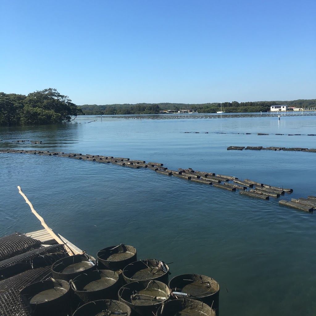 Clark Oysters | 11/170 Greens Rd, Greenwell Point NSW 2540, Australia | Phone: 0450 637 470