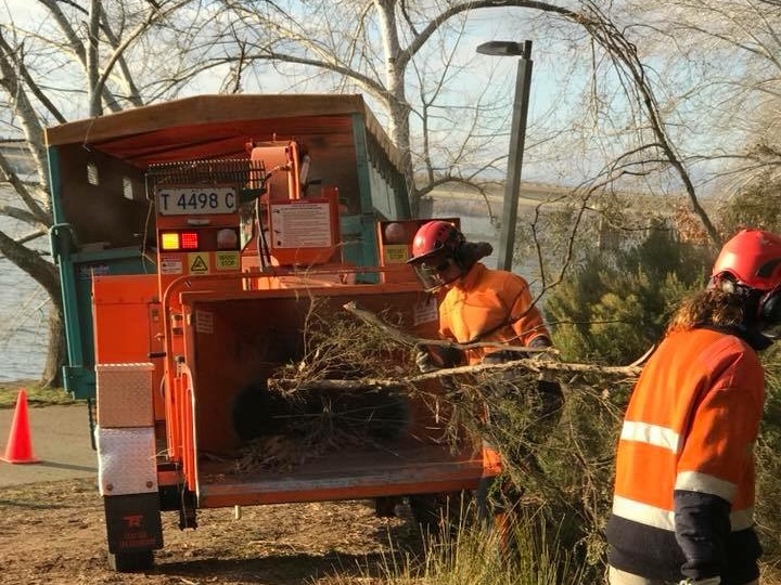 Treetops Tree Services | 3 Bussell Cres, Cook ACT 2614, Australia | Phone: 0407 573 008