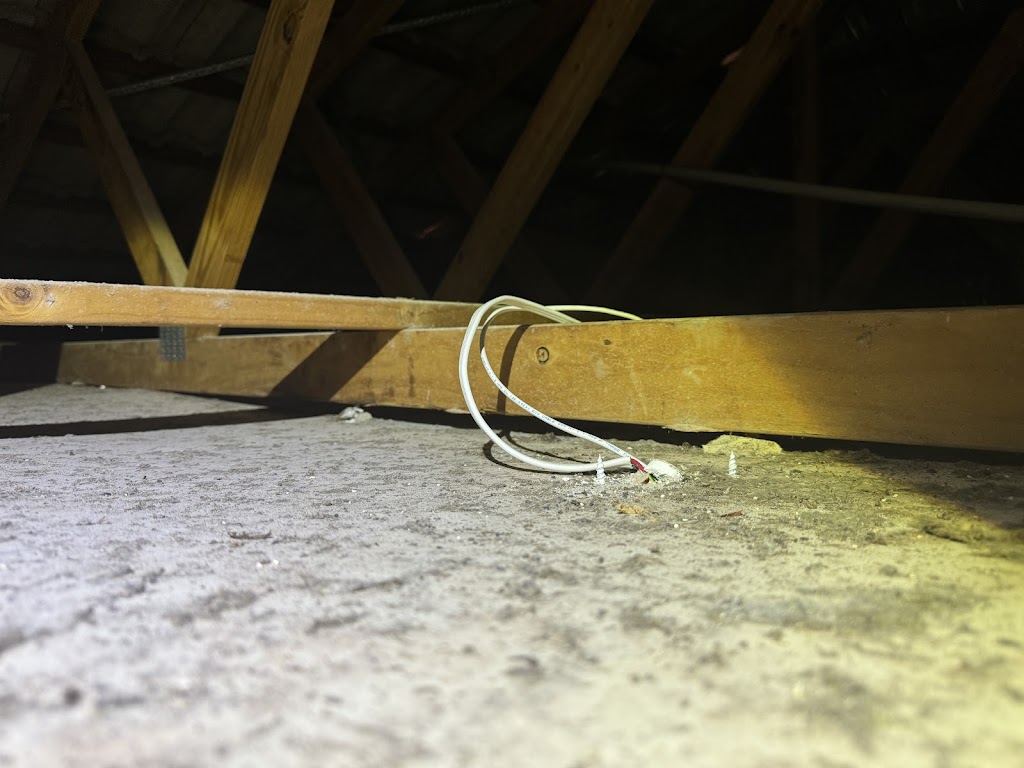 Housefly Building & Pest Inspections | 16 Barrier Reef Dr, Mermaid Waters QLD 4218, Australia | Phone: 0413 770 209