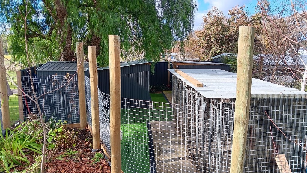 Casterton Dog & Cat Retreat | 23 McCrae Rd, Sandford VIC 3312, Australia | Phone: 0438 668 884