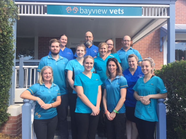 Bayview Vets | 1/9 Bideford St, Torquay QLD 4655, Australia | Phone: (07) 4125 2788