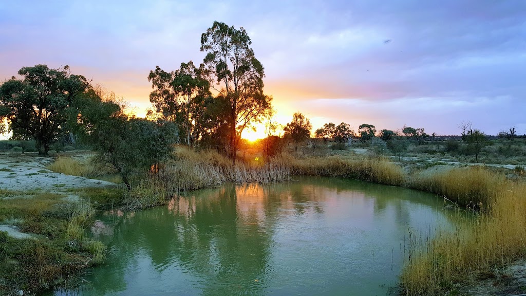 Murray River National Park | park | Katarapko SA 5343, Australia | 0885801800 OR +61 8 8580 1800