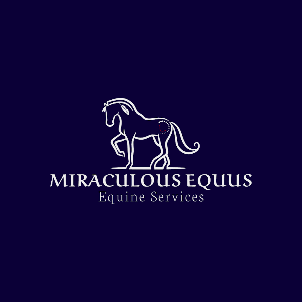 Miraculous Equus |  | 41 Jeffrey St, Nairne SA 5252, Australia | 0426637716 OR +61 426 637 716
