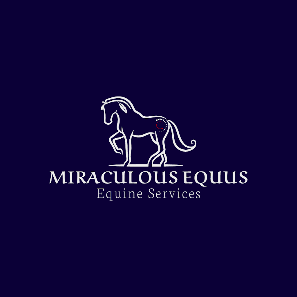 Miraculous Equus | 41 Jeffrey St, Nairne SA 5252, Australia | Phone: 0426 637 716