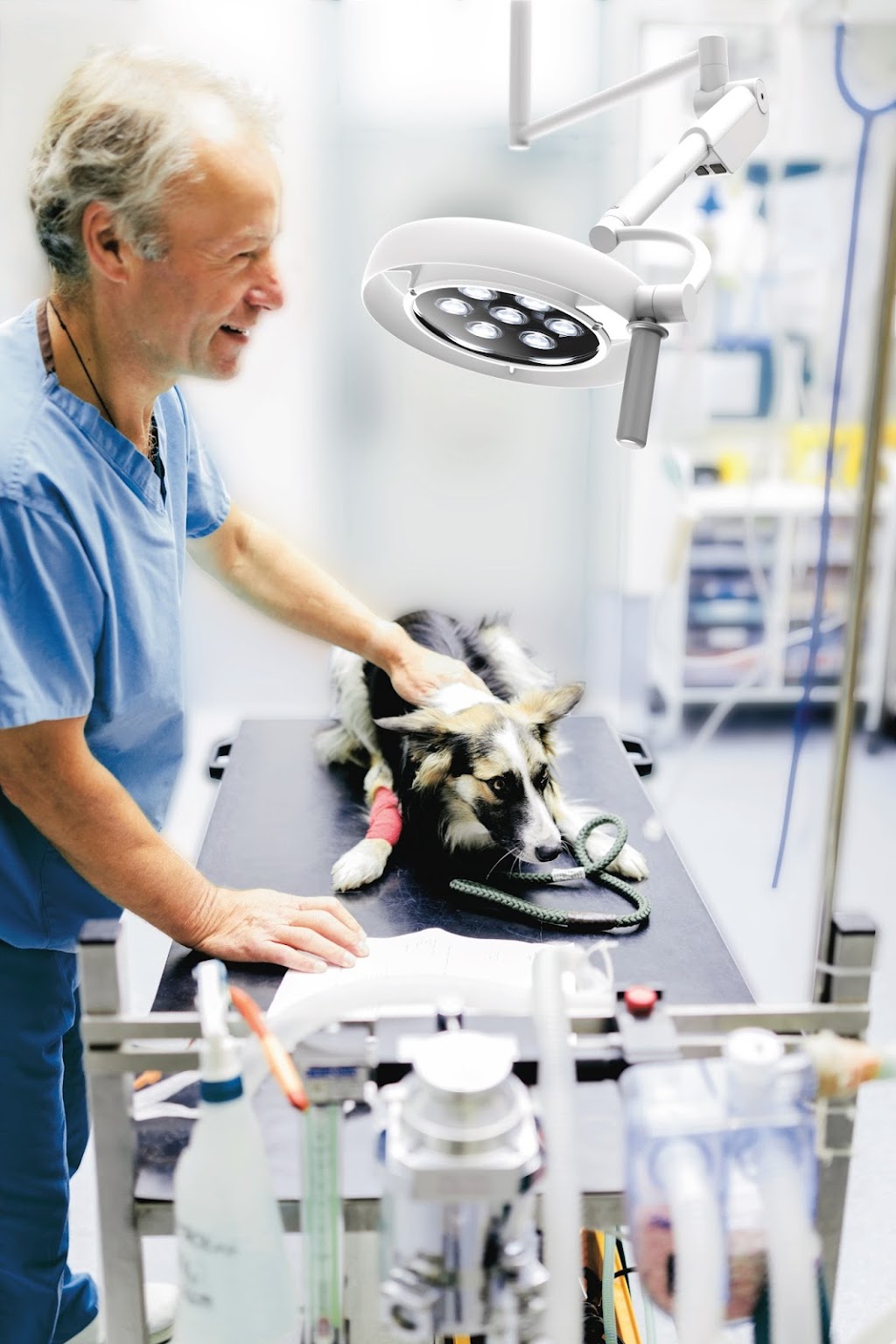 Redbank Group | MaggyLamp® | 66 Bridge St, Picton NSW 2571, Australia | Phone: 1300 788 239