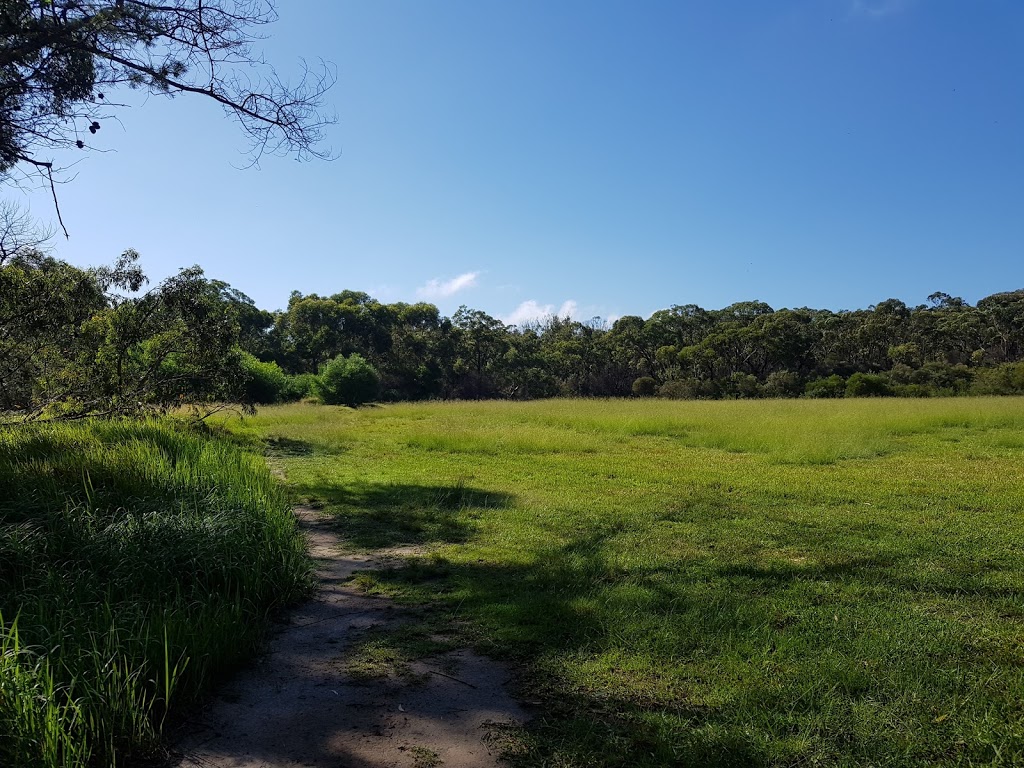 Uloola Falls campground | Karloo Pools Walking Track E, Royal National Park NSW 2233, Australia | Phone: 1300 072 757