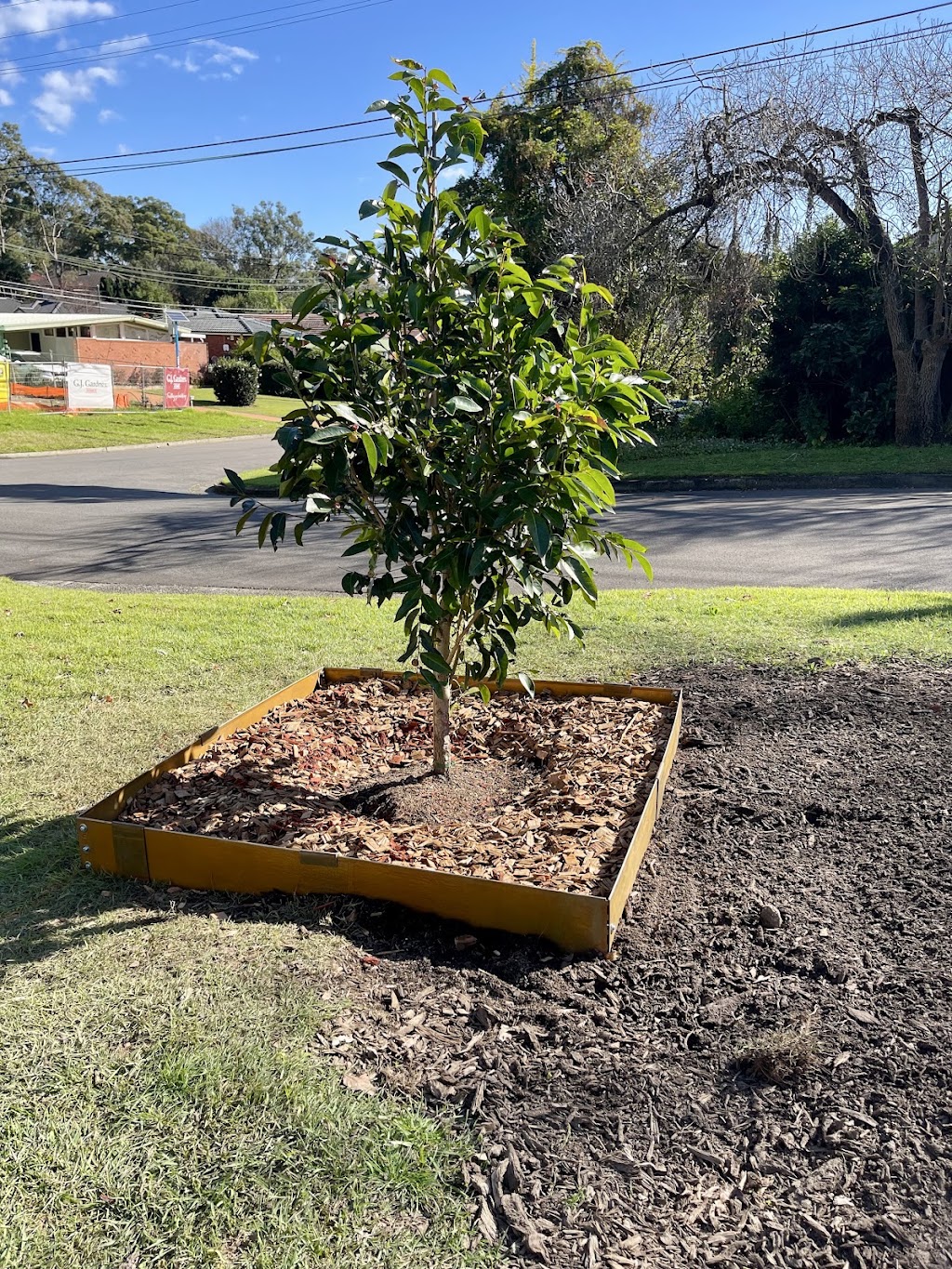 Nursery Warehouse | 24 Burns Rd, Ourimbah NSW 2258, Australia | Phone: (02) 4314 9018