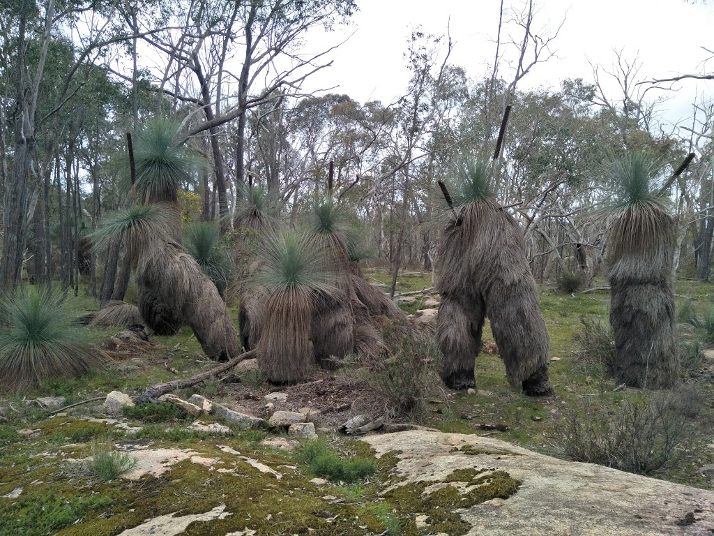 Warby-Ovens National Park | park | Boweya North VIC 3675, Australia