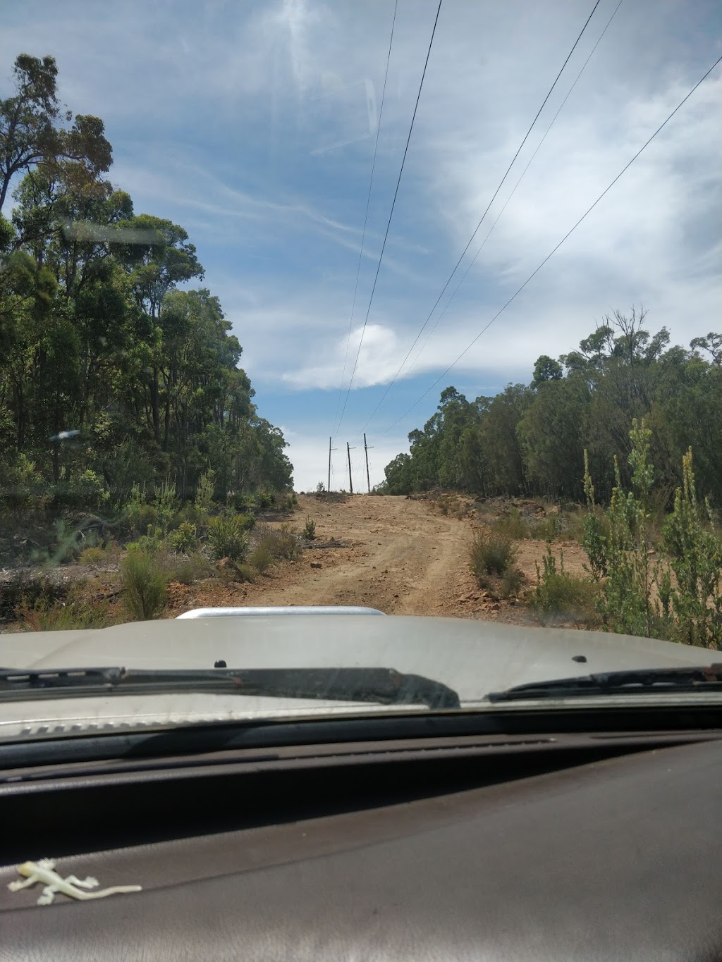 Beelu National Park | Mundaring Weir road, Mundaring WA 6073, Australia | Phone: (08) 9295 2244