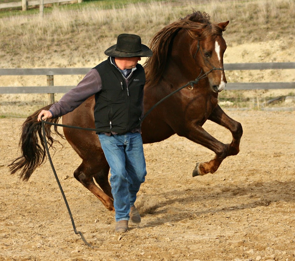 Ian Leighton Horsemanship | 176 Heatherbell Rd, Forcett TAS 7173, Australia | Phone: 0402 788 682