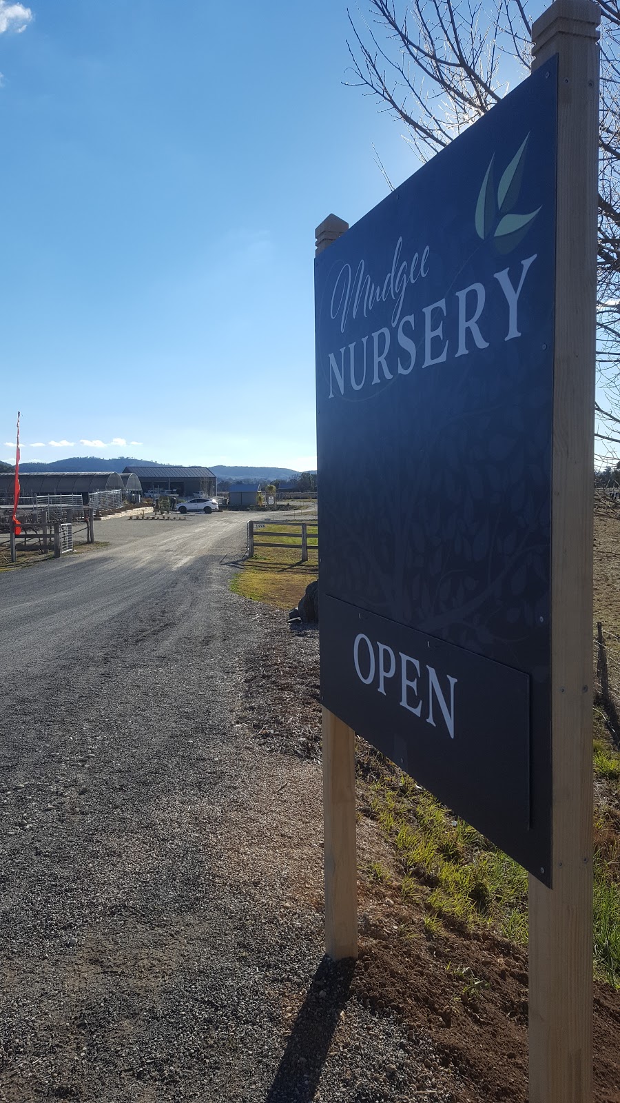 Mudgee Nursery | 13 Ulan Rd, Putta Bucca NSW 2850, Australia | Phone: (02) 6373 4278