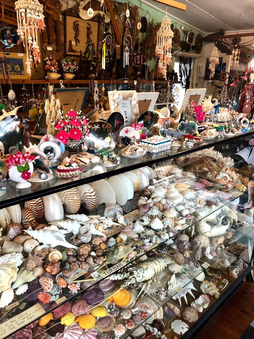 Port Stephens Shell Museum | museum | 92 Sandy Point Rd, Corlette NSW 2315, Australia | 0249811428 OR +61 2 4981 1428